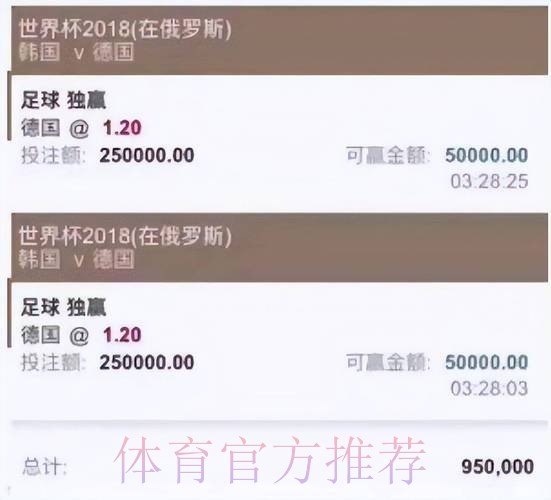 全面解析世界杯投注平台选择与攻略