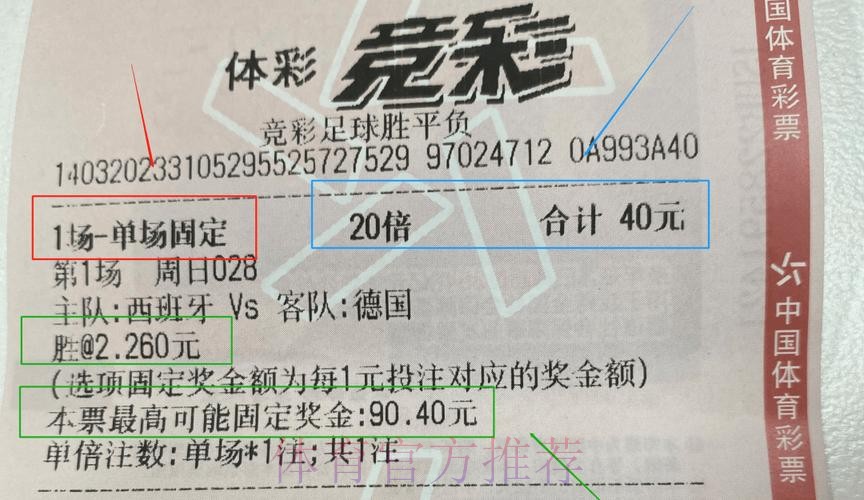 全面解析世界杯投注平台选择与攻略